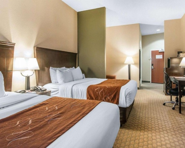 University Inn Vestal image 13
