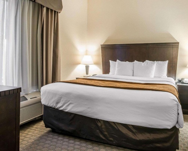 University Inn Vestal image 5