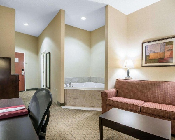 University Inn Vestal image 7