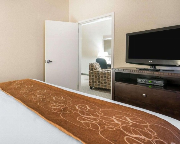 University Inn Vestal image 8